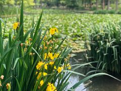 -洛阳市隋唐城遗址植物园