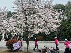 -江南大学(蠡湖校区)