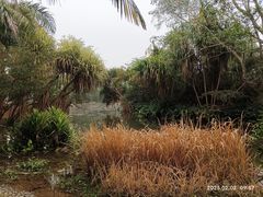 -中国科学院西双版纳热带植物园