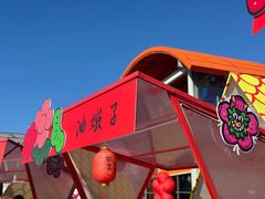 -荷兰花海