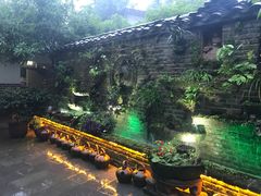 -青城甲(青城山店)