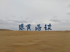 -银肯塔拉沙漠生态旅游景区