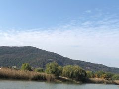 -长广溪湿地公园