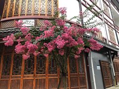 -王浩儿纪六孃甜皮鸭(乐山总店)