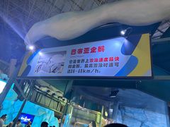 -海合安青岛极地海洋公园