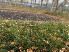 -水西公园