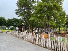 -福田红树林生态公园