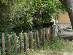 -宁波野生动物园