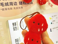 -兰熊鲜奶(西直门凯德mall店)
