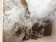 -真浪花园海鲜餐馆