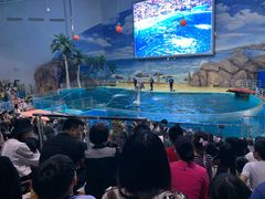 -福州罗源湾海洋世界旅游区