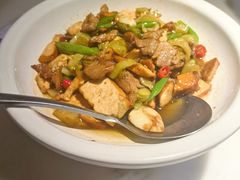 -佬肥猫(国华广场店)