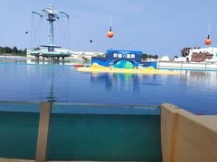 -秦皇岛乐岛海洋王国