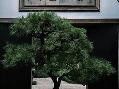 -留园