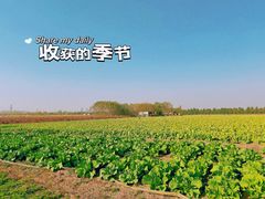 -汉长安城未央宫国家考古遗址公园