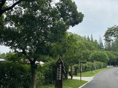 -东平国家森林公园