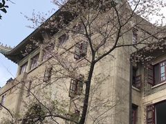 -武汉大学-樱园