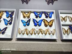 -烟台市博物馆