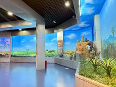 -国家自然博物馆