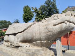 -正定古城-开元寺