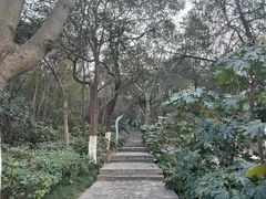 -云龙山