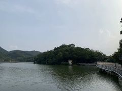 -深圳仙湖植物园