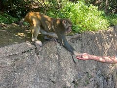 -黔灵山公园