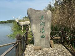 -溱湖国家湿地公园