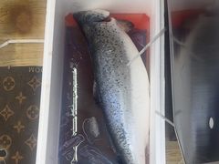 -熟里三文鱼旗舰店(红星店)