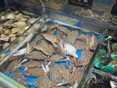 -加餐海鲜自助(宝龙一城店)
