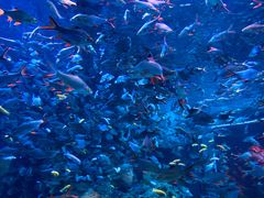 -成都浩海立方海洋公园