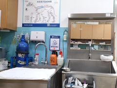 -宠福鑫动物医院(望京分院)