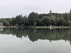 -长广溪湿地公园