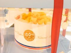-维尔纳斯·生日蛋糕·动物奶油冰淇淋蛋糕(六里桥店)