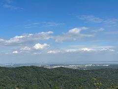 -东山雕花楼
