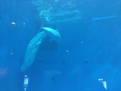 -华夏文旅西安度假区