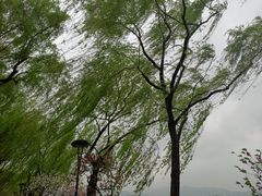 -红钳侠小龙虾·烧烤(中赢康康谷店)