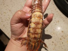 -四海蒸鲜蒸汽海鲜自助(北戴河店)