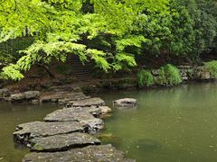 -杭州植物园