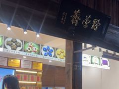 -野荸荠