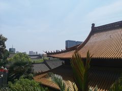 -赭山公园