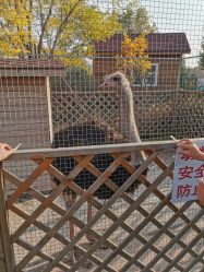 点击看大图 -萌宠亲子动物乐园(槐房万达店)