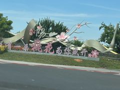 -老袁家蜜桃农场·阳山水蜜桃