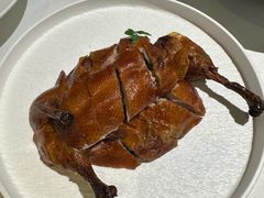 -圆苑(金茂店)