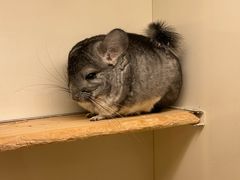 -龙猫仔乐园(惠福东路店)