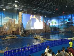 -华夏文旅海洋公园