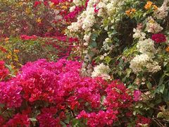 -点都德(广州白云山景区南门店)