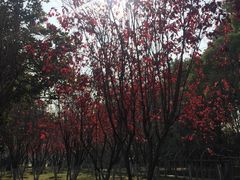 -汉水公园