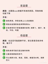 -玛莲朵·海菲秀冰珀科