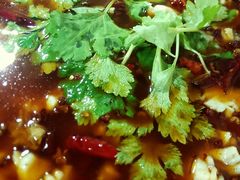 android_upload_pic-重庆乌鱼庄·龙滋鲜(青羊大道店)